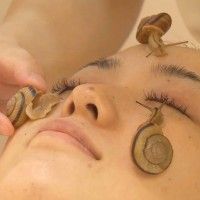 Massage facial avec des escargots chez les japonais