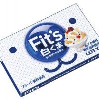 Chewing gum Fit's shiro kuma
