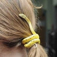 Eve a un serpent sur la tête mais où est la pomme?