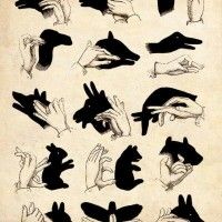 Les ombres chinoises avec vos mains. Avez-vous déjà essayé?
