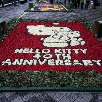 Les 40 ans Hello Kitty en fleurs