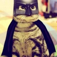 #Batman et #catwoman ont un fils
