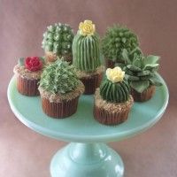 Des cupcakes cactus. Avez-vous peur d'être piquer?