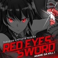 Red Eyes Sword Akame ga Kill un seinen qui sortira le 11 septembre chez Kurokawa