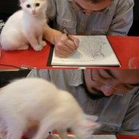 Est ce que votre chat vous embête quand vous dessinez?