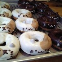 #Donuts très miaou