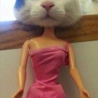 Cette nouvelle poupée #barbie pourrait faire fureur! #chat