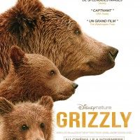 Affiche officielle du nouveau film #Disneynature: #Grizzly