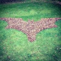 Des feuilles rangées en forme de chauve-souris Batman