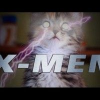 Des chats X-mens