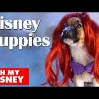 Adorable #Disney Puppies in Slow Motion | Oh My #Disney