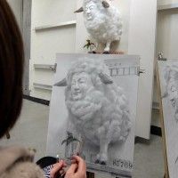 #Dessine moi un mouton dans un atelier de #Dessin