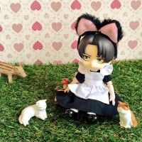 Trop choupi Levi en maid cat Rivaille #LAttaqueDesTitans #ShingekiNoKyojin