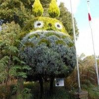 Un arbre taillé #Totoro #MonVoisin#Totoro #StudioGhibli