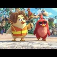 #AngryBirds - Extrait "Crossing Guard" - VF