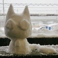 #Chat neige #Japon #Insolite