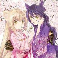 #KonohanaKitan #Fille #Kitsune #Kimono #Manga anime #Animation