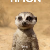 Affiche du film live Le Roi Lion Disney Timon