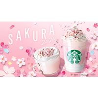 Sakura Milk Pudding Frappuccino et Sakura Milk Latte au Starbucks Japon