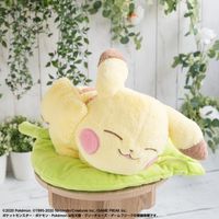 peluche 2020 Pokemon Collection Pikachu Forest