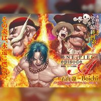One Piece Boichi