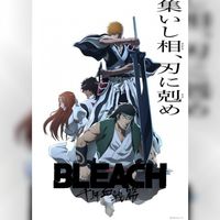 Bleach Anime