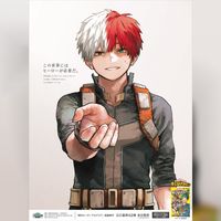 My Hero Academia Shoto Todoroki