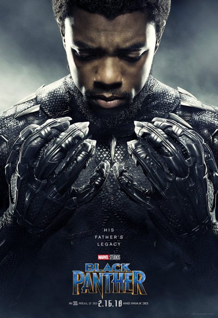 Les affiches personnages du film Black Panther