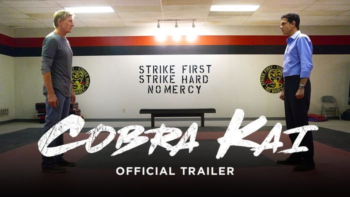Cobra Kai : La suite de Karaté Kid sur Youtube Red le 2 mai !