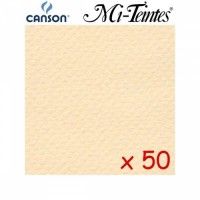 CANSON Mi-Teintes Lichen A4 50F 160g